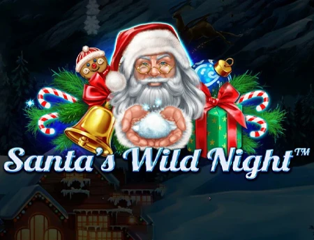 Santa’s Wild Night