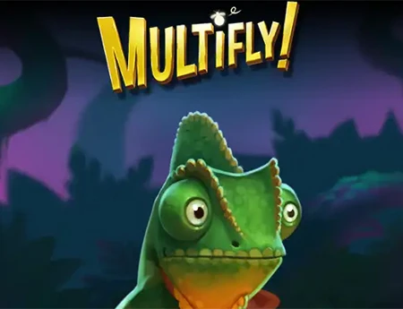 MultiFly!